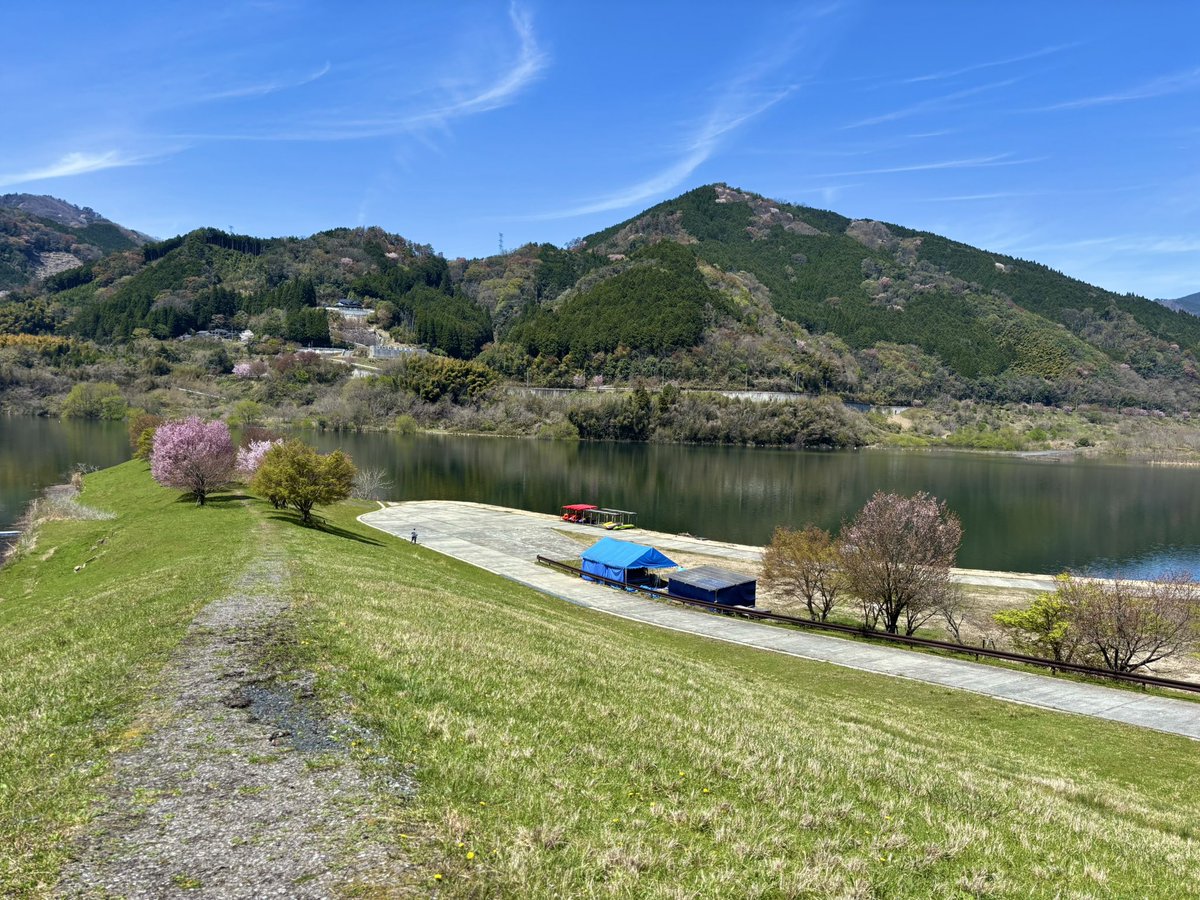 オッチ tweet media