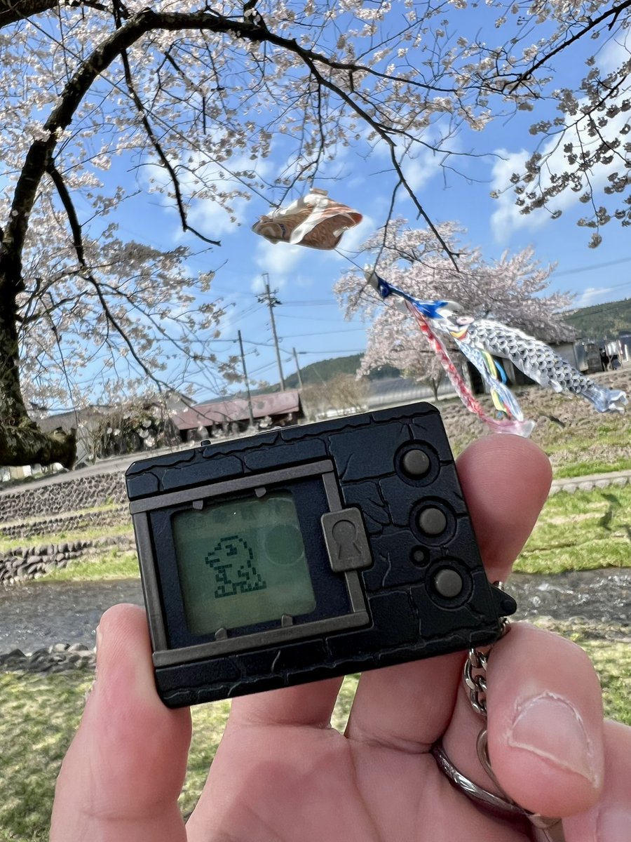 🌸と🎏と👾