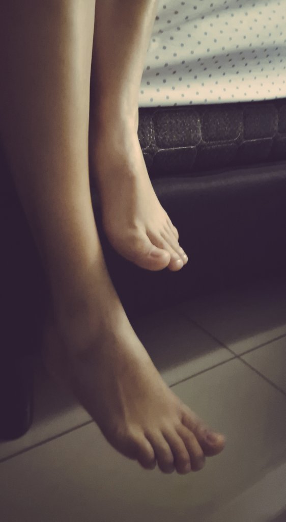 Swchihuahua tweet media