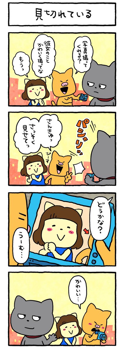 お写真とるよ
#わるめのねこ #カップル
#写真 #画角 #にしむらゆうじ 