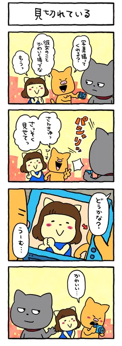 お写真とるよ
#わるめのねこ #カップル
#写真 #画角 #にしむらゆうじ 