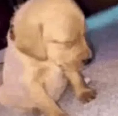 Jazz pra minha pussy tweet media