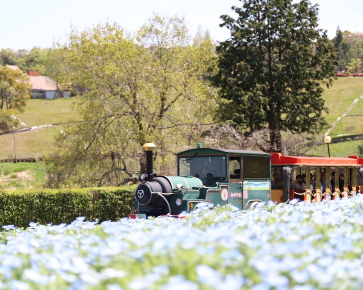 ハーベストの丘【公式】 tweet media