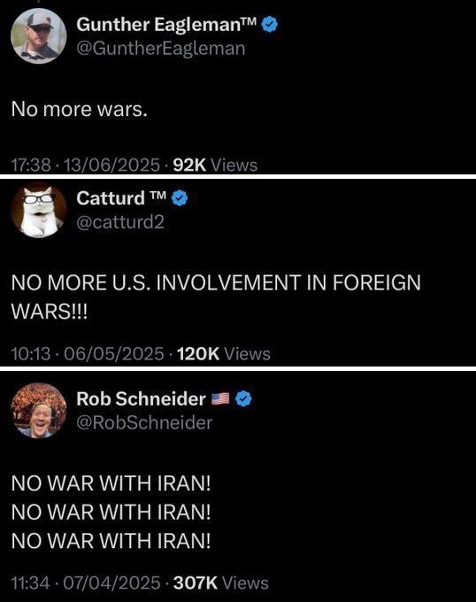 Fight With Memes tweet media
