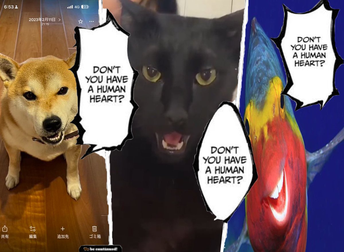 Whisgoon tweet media