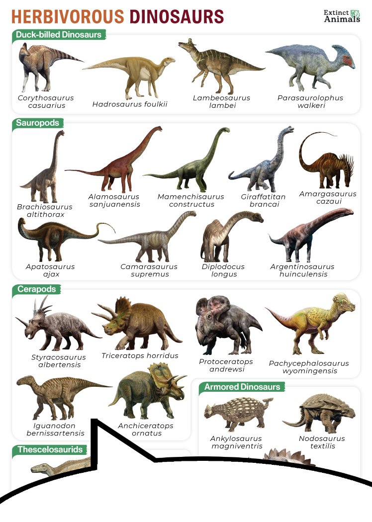 Tastybutts, Rewatching Mebius tweet media