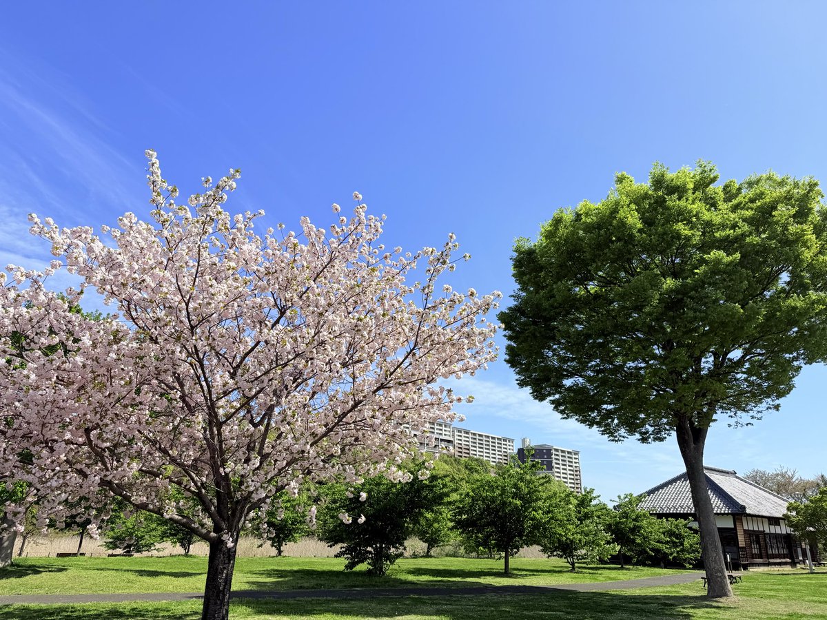 球磨もん tweet media