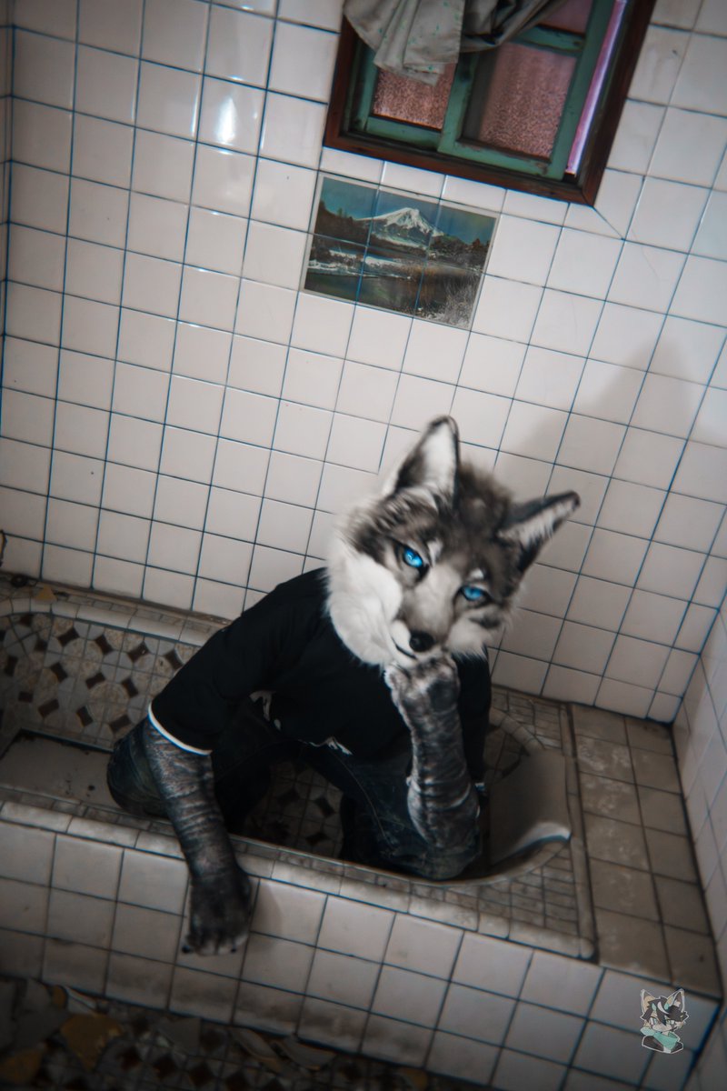 辛德勒🐾 ➡️ UTFG 2026 tweet media