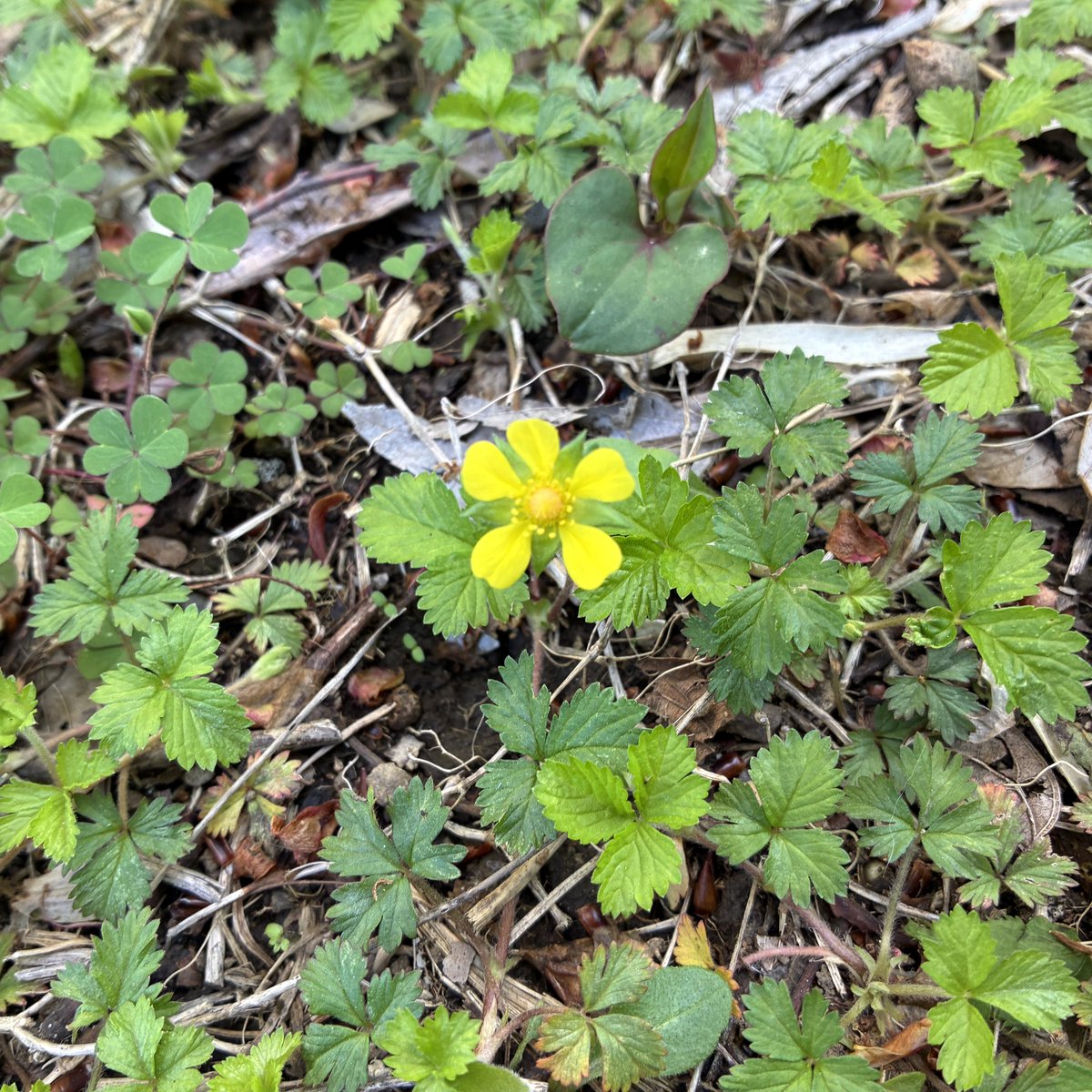 青木光恵👙 tweet media