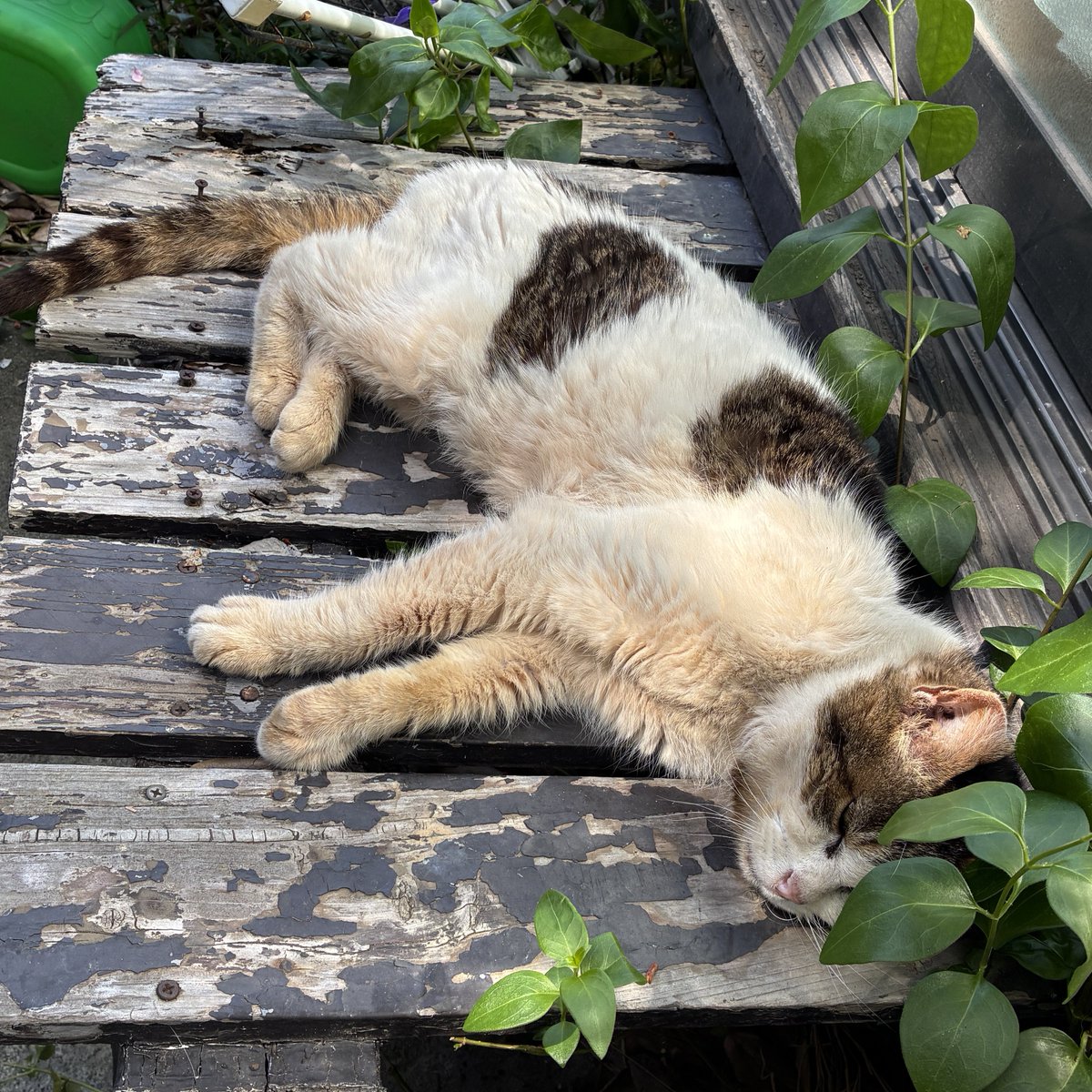 青木光恵👙 tweet media