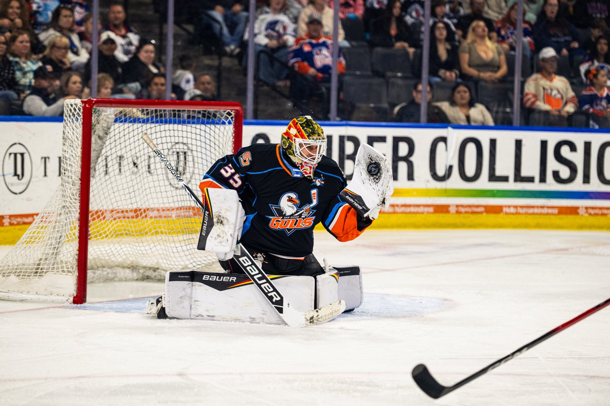 X-San Diego Gulls tweet media