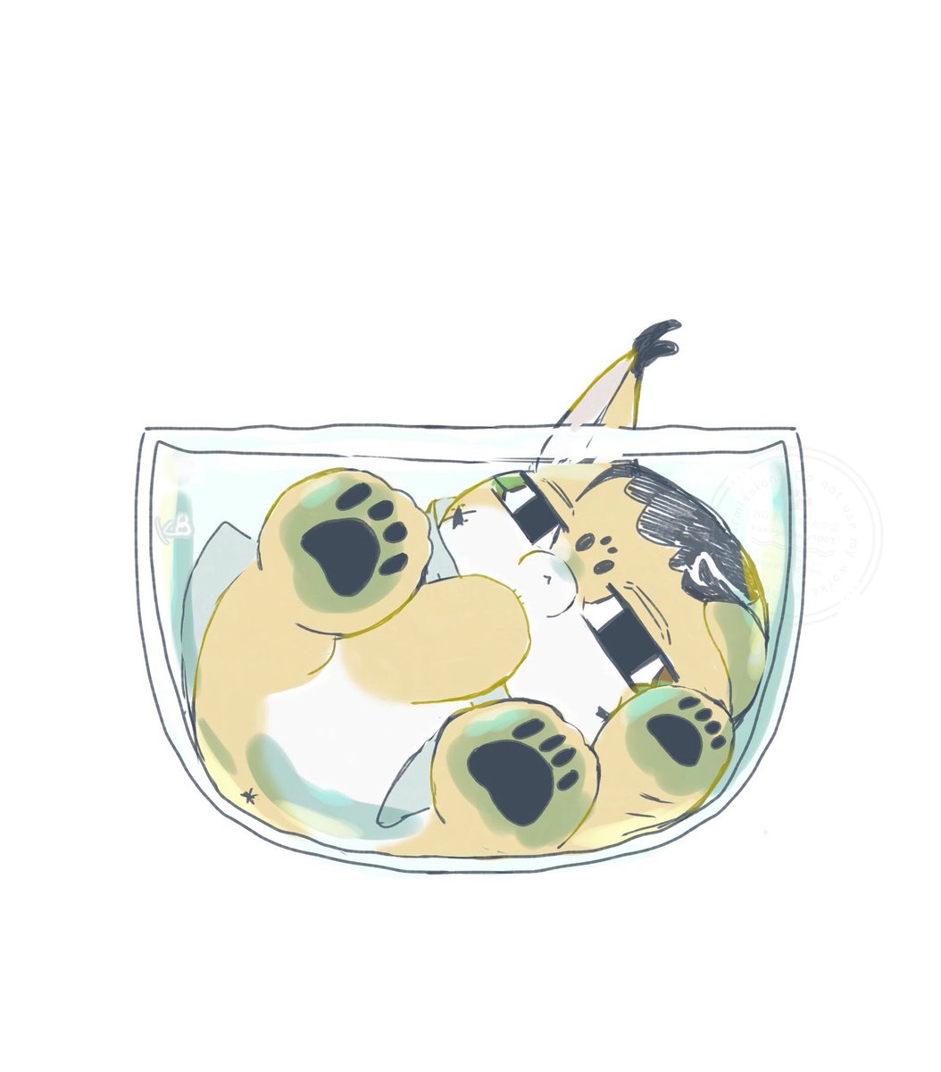 kuo🍺⭐️ tweet media