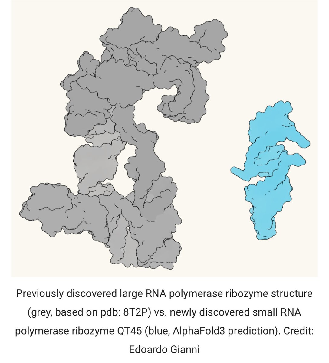 Parmita Mishra tweet media