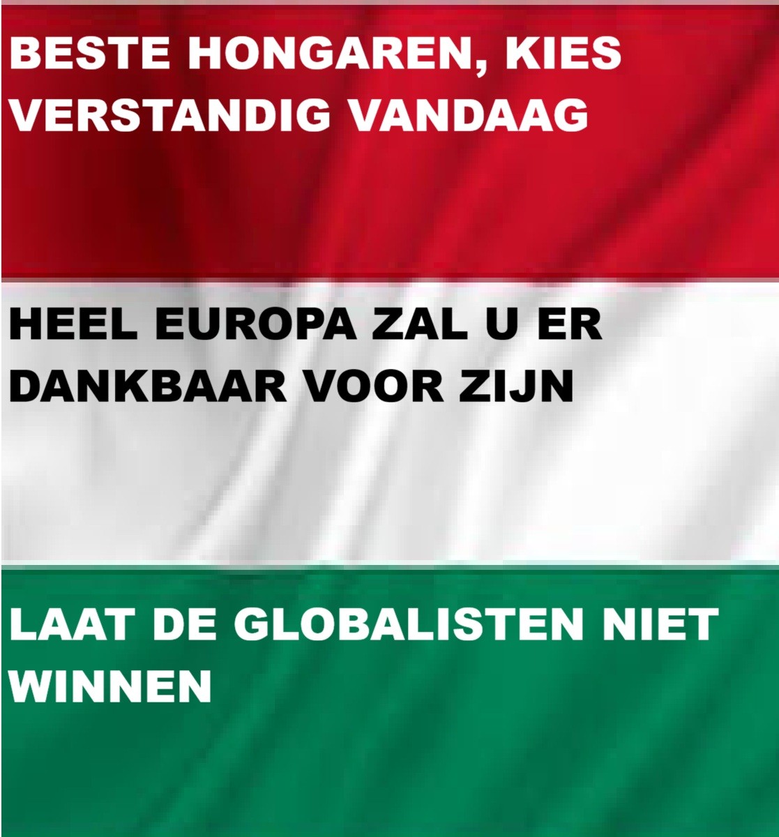 veerman4 tweet media