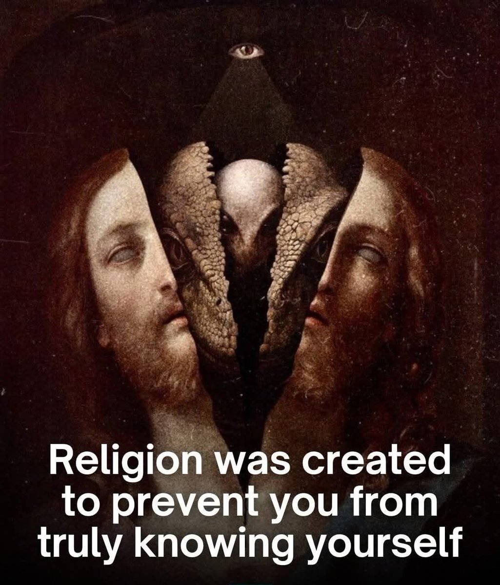 🧬Maxpein🧬 tweet media