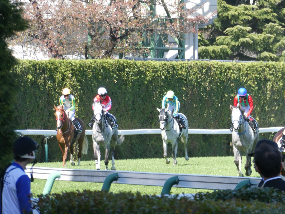 ビンス＠ガルパンおじさん tweet media