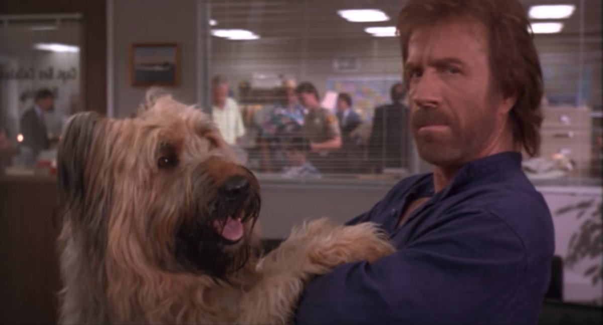 EquesTron tweet media