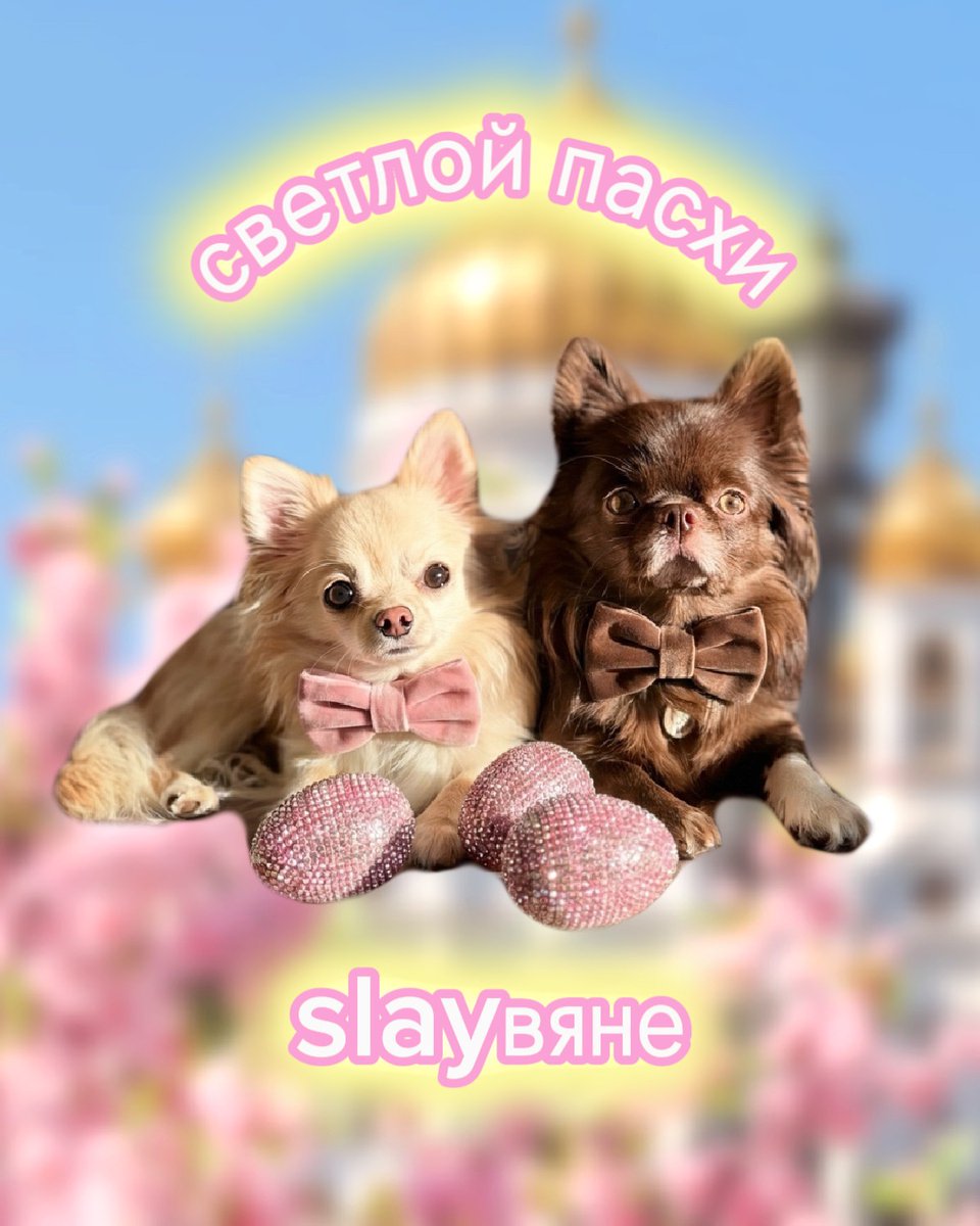 с праздником 🐣