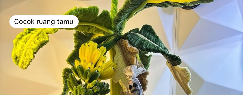 Ros 🌸 tweet media