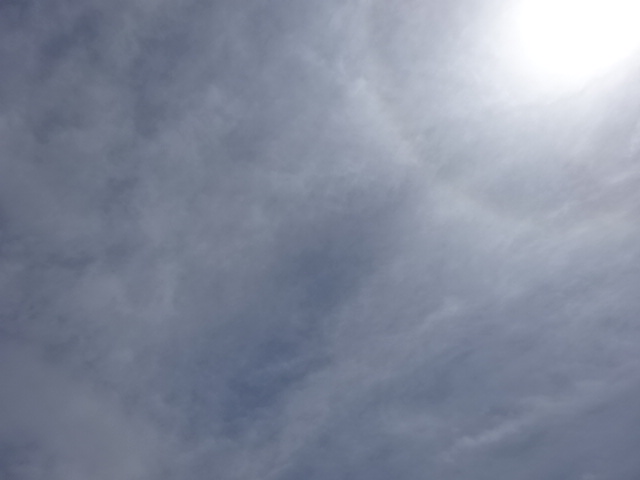 アオイソラ tweet media