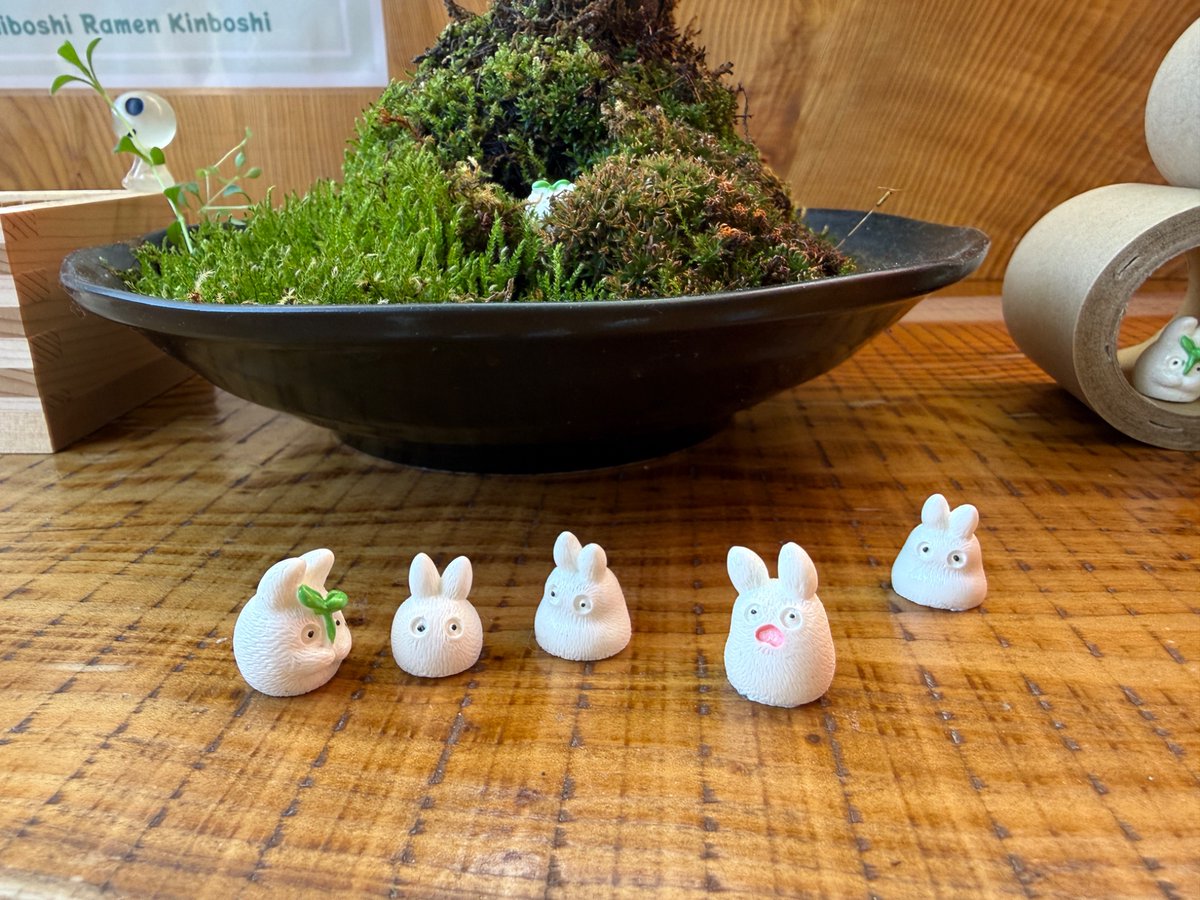 ADふーちゃん tweet media