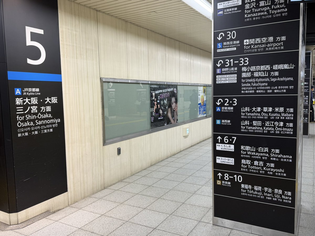 🦐かいとぅー🦐 tweet media