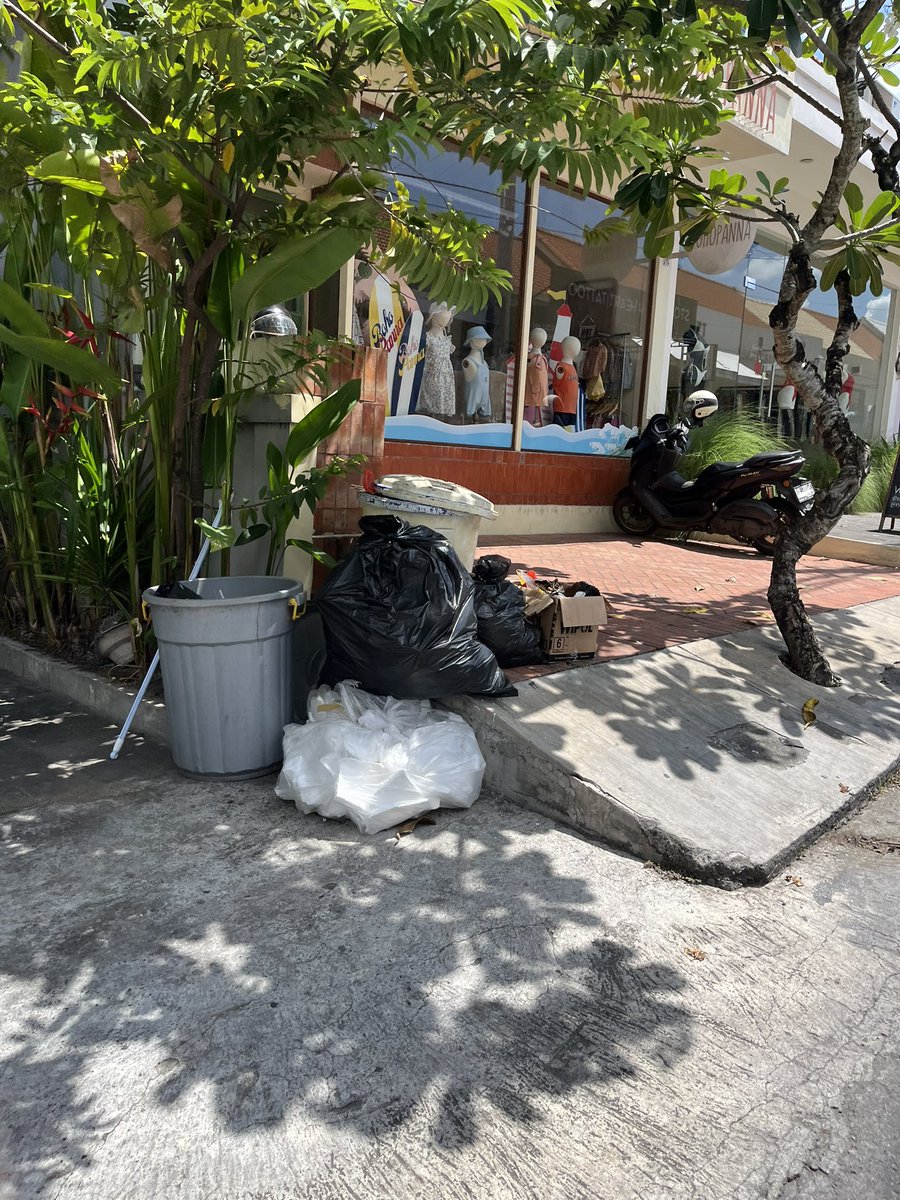 Joey Ardiva tweet media