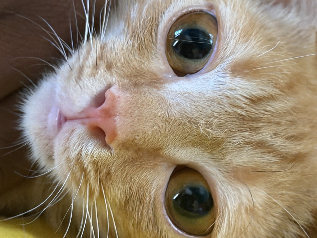 B33JAY🪽 tweet media