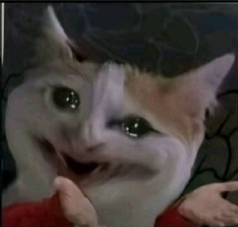 Chioma 🇺🇬 tweet media