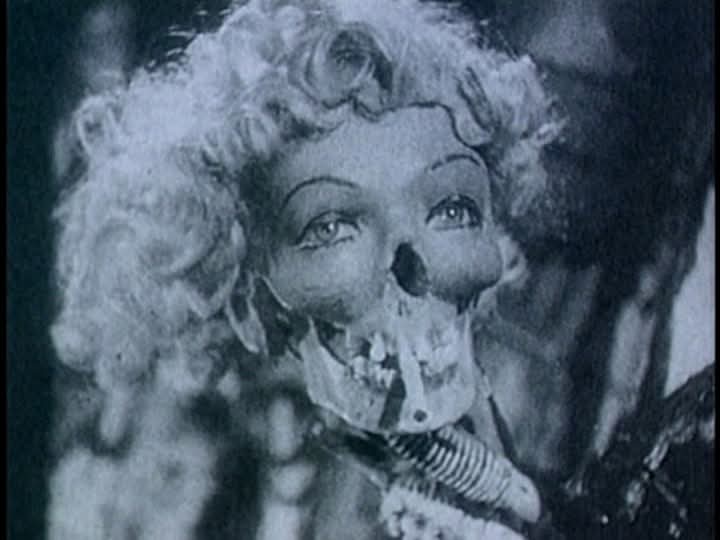 Hollywood Horror Museum tweet media