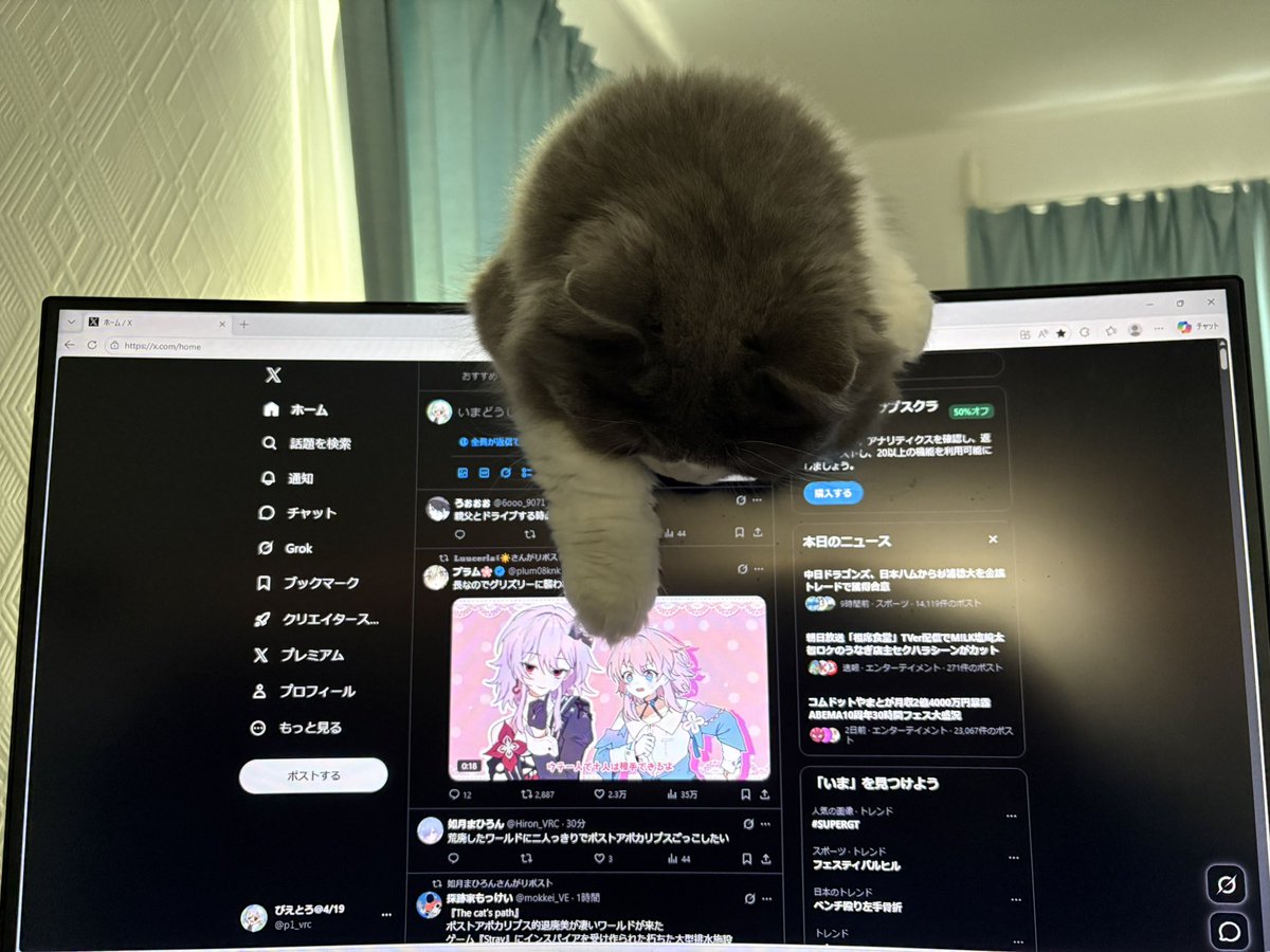 ぴえとろ@4/19, 4/22 tweet media