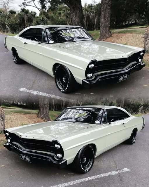 Sofia50020Sofia's tweet photo. 1967 Ford Galaxie 500🇺🇸

Would she be the type you like? https://t.co/KnSwHJCvF5