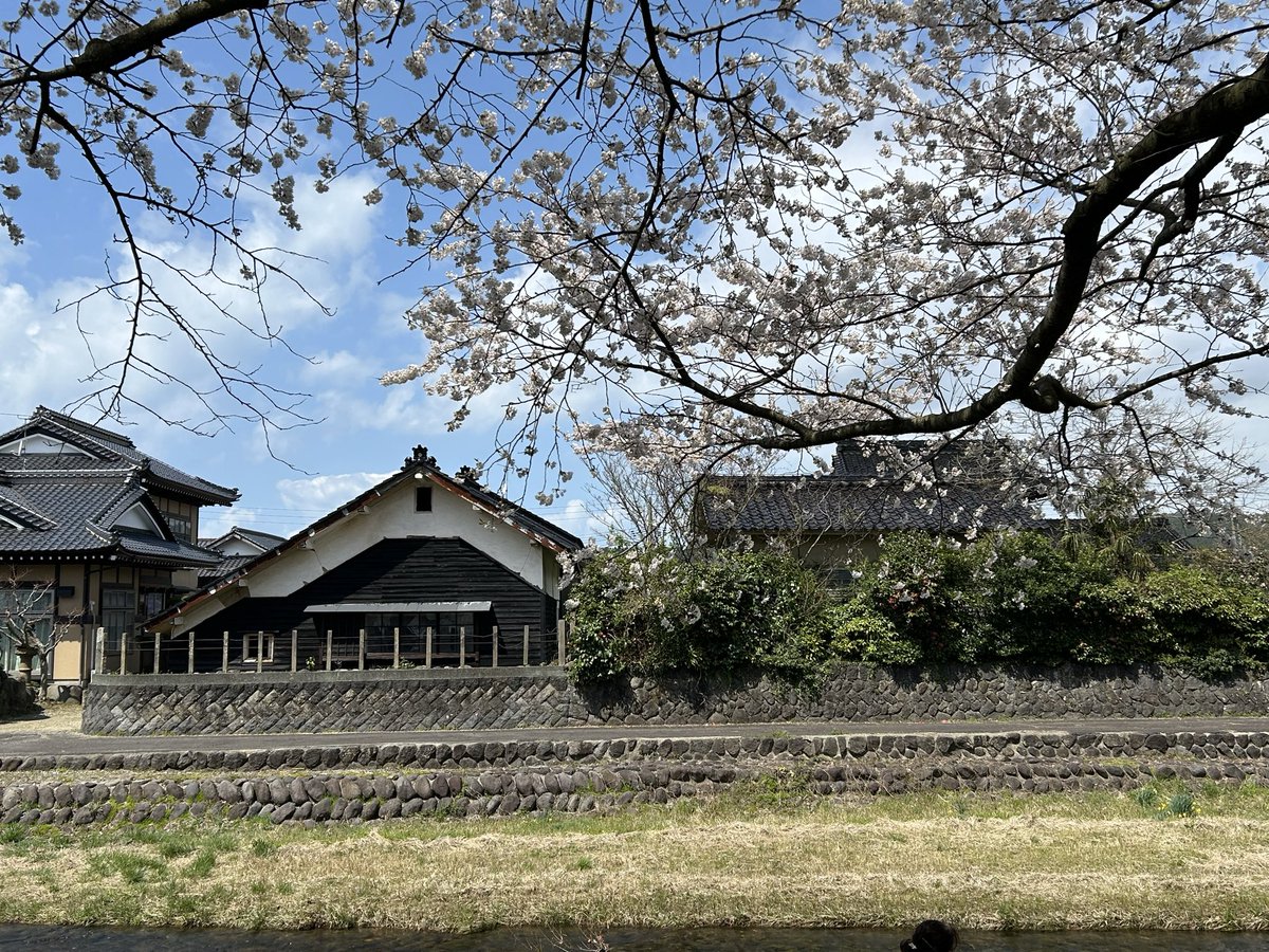 中村 出 tweet media