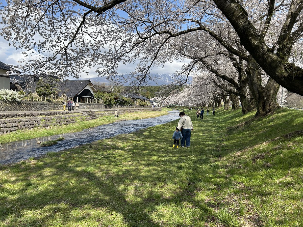 中村 出 tweet media