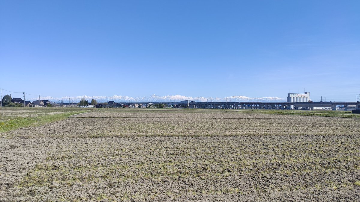 佐野ちゃん tweet media