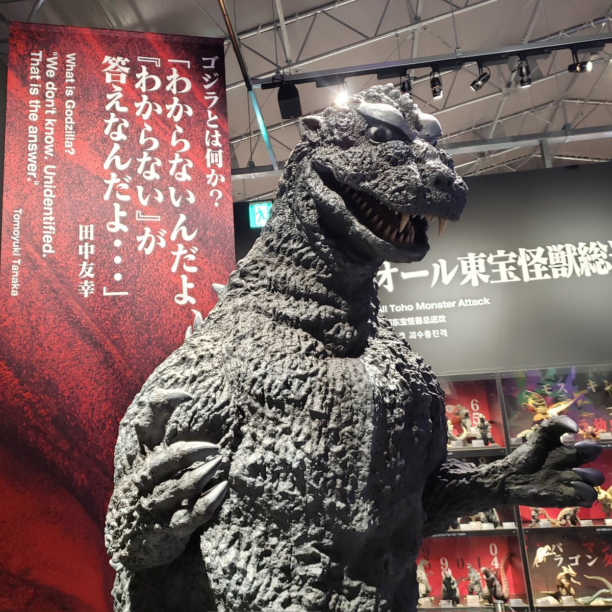 ミオカン tweet media