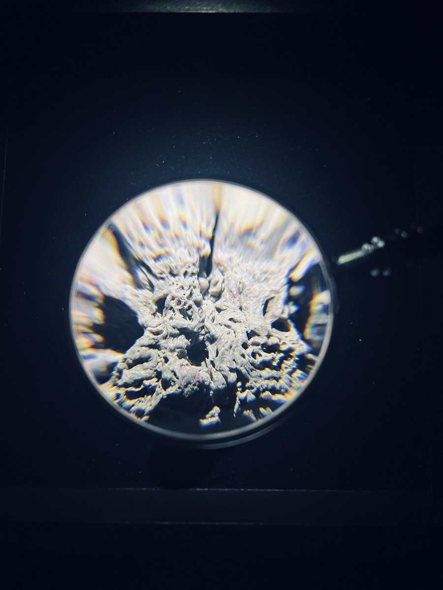 【柴田早理| COSMO PLASTICS】

open today 13:00〜18:30

京都グラフィーは来週4/18から。その前の予習にぜひお越しください。