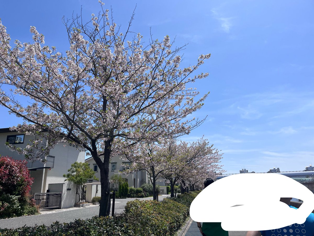 まつむ tweet media