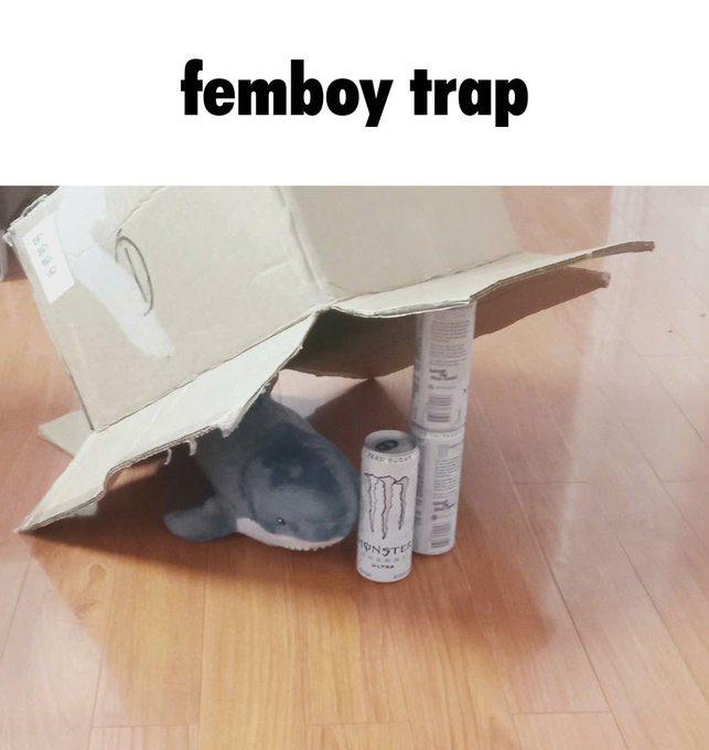 Femboy Gang (@femboysgang) on Twitter photo 
