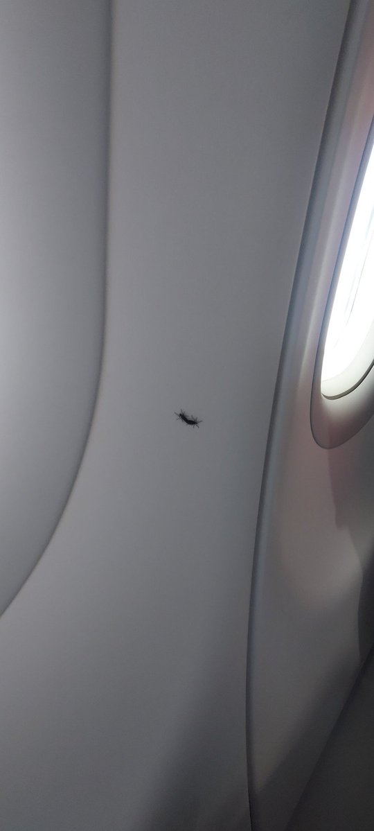 listyantidewi tweet media