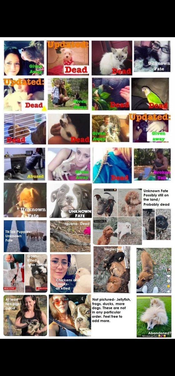 Nelle911 tweet media