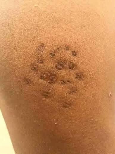 thuli tia tweet media