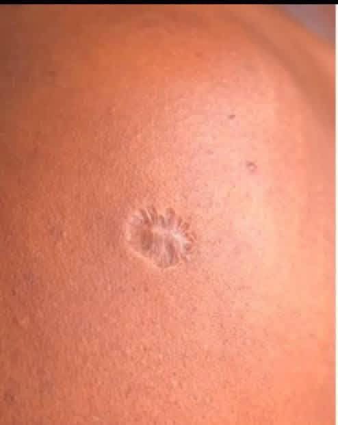 thuli tia tweet media