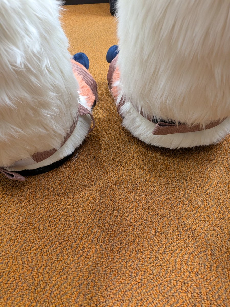 青竜獣廠(せいりゅうじゅうしょう) tweet media