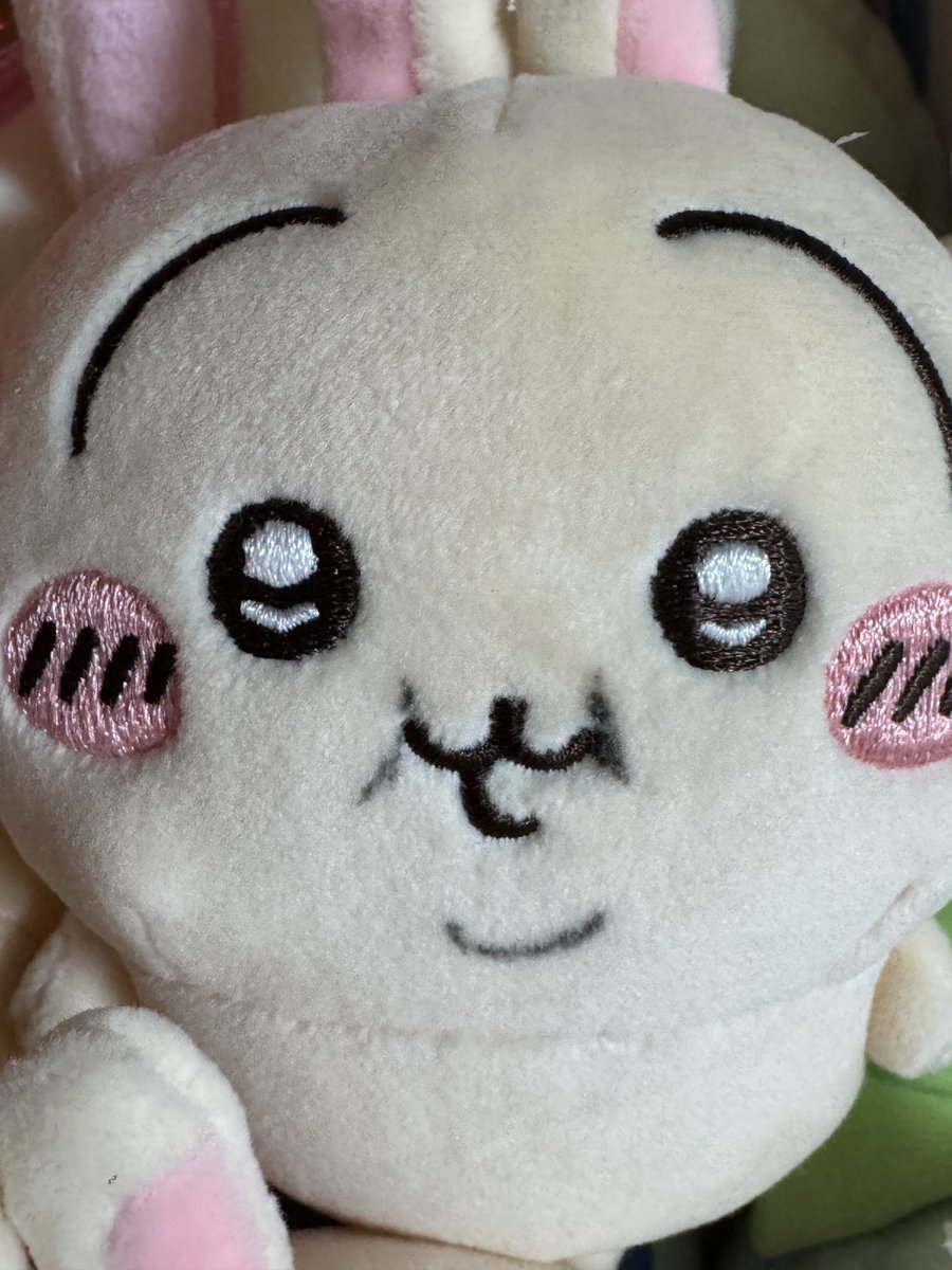 Usagilover tweet media