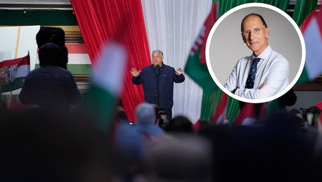 Kronen Zeitung tweet media