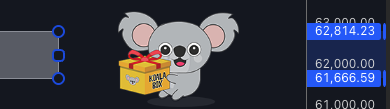 Trader Koala tweet media