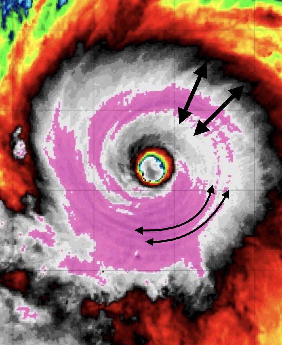 Michael Ferragamo tweet media