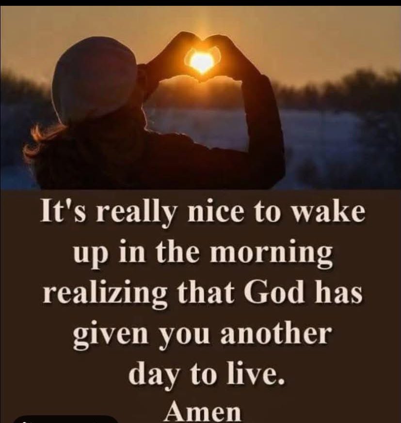 shynedalight tweet media