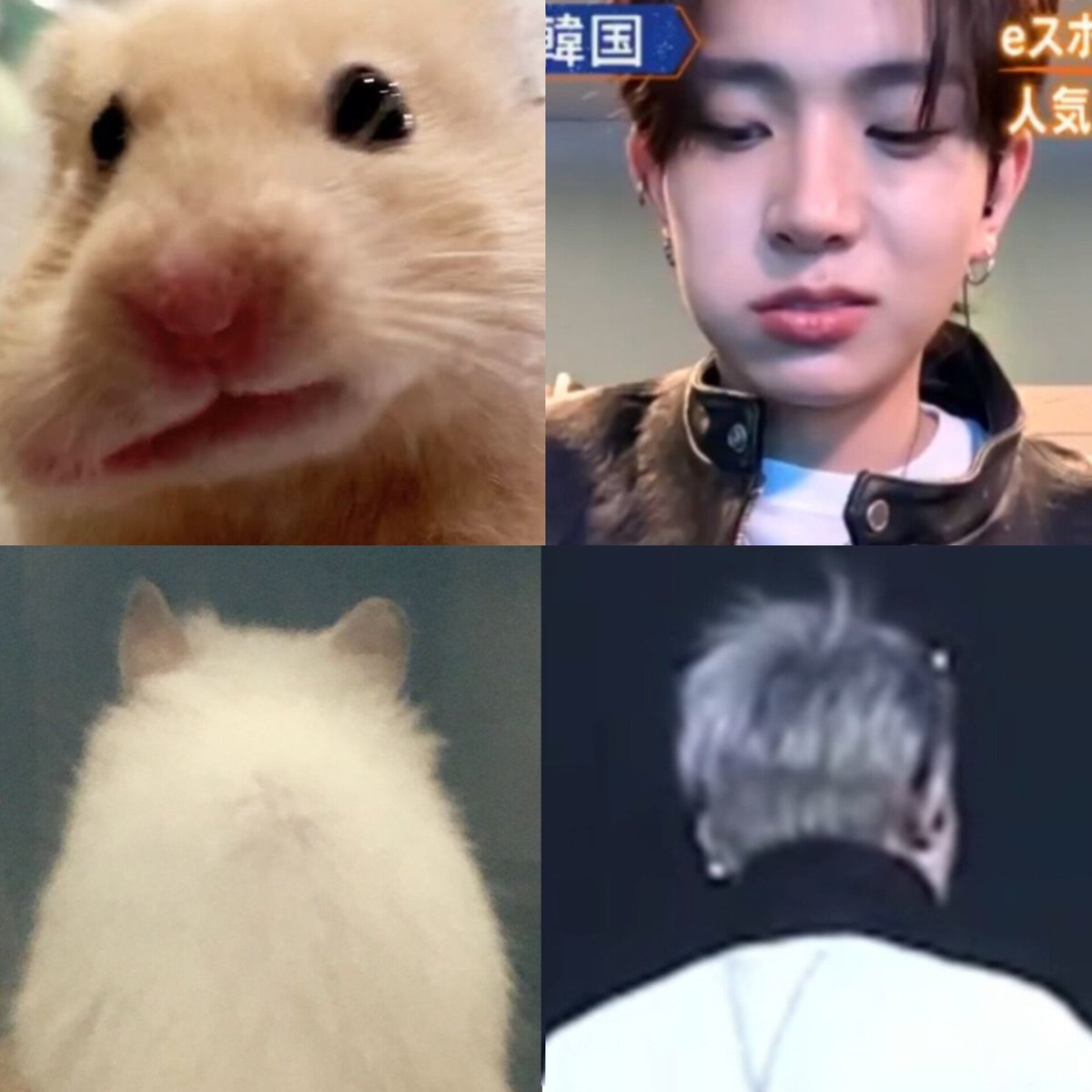 ❥︎𝐬𝐢𝐧𝐳'ʰˢ𓂃꙳ tweet media